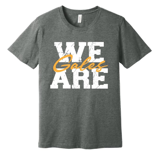 We Are Gales Tee - Small / Grey / Long - Clothing